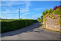 Taunton Deane : Country Lane