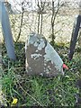 Guidestone, by the B3124, Clapton Lane, Portishead