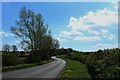 Country road at North Shop