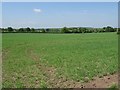 Farmland at Stanton upon Hine Heath