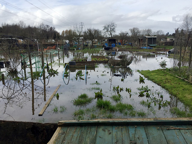 Flooded allotments, Potterton's site, east Warwick