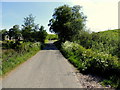 Merchantstown Road, Merchantstown Glebe