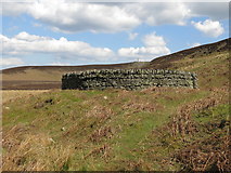 NY9150 : Sheepfold above the head of the glacial meltwater channel by Mike Quinn