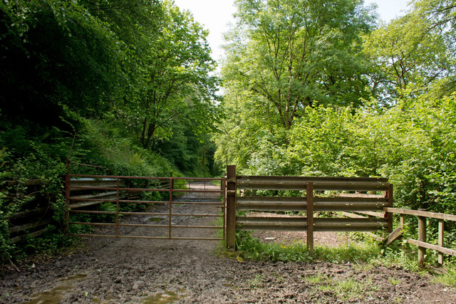 Two gates in Frankmarsh wood