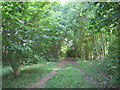 Footpath to Park View