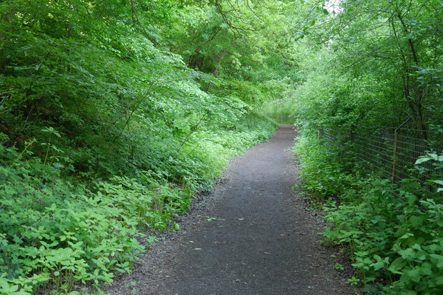 Path along the south bank of Eccup Reservoir