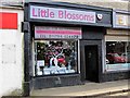 Little Blossoms - Saltcoats