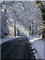 Legsheath Lane in the snow