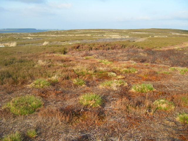 Moorland view