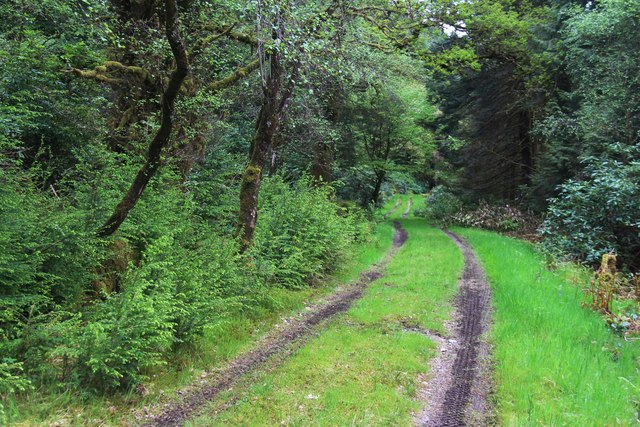 Old track to Drumsyniebeg