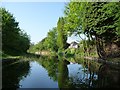 Wyrley & Essington Canal, west of Moat House Bridge