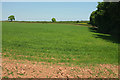 SX7943 : Field near Coleridge Farm by Derek Harper