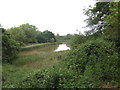 Pond on Barlow Common