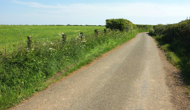 Lane near Vinivers Cross