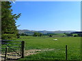 Upland grazing to the west of Bala Lake