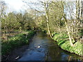 River Cole north of Robin Hood Lane