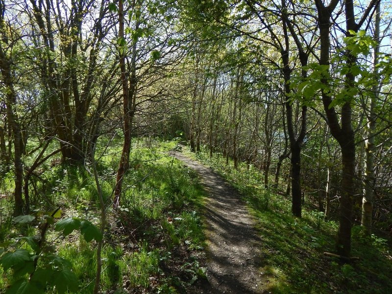 Path in Drumkinnon Wood © Lairich Rig cc-by-sa/2.0 :: Geograph Britain ...