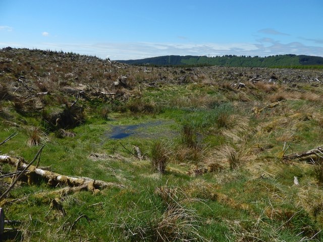 Waterfilled pit in cleared woodland