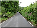 Hedge-lined road (B4577) approaching Pont Goy