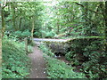 Western end of the Dean Wood footpath