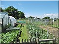 Martock, allotments