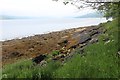 Loch Fyne foreshore