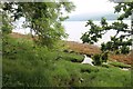 A small stream reaches Loch Fyne