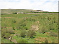 The valley of Wellhope Burn below Woodside