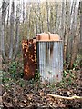 Abandoned portable toilet, Brede High Woods woodyard