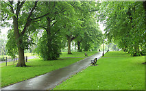 ST5874 : Lovers' Walk, Cotham Gardens by Derek Harper
