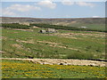 The valley of Wellhope Burn below Whitestone House