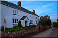 East Nynehead : Country Lane