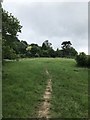 A paddock on the Cotswold Way