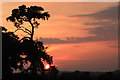 TL8063 : Sunset at Little Saxham by Bob Jones