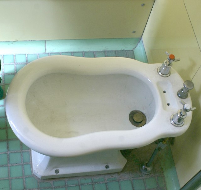 View of a bidet in the Venetian Suite bathroom