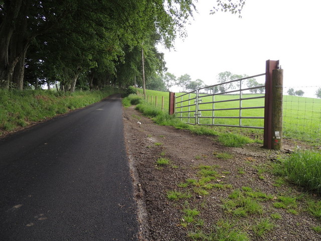 a-steep-walk-up-carnargan-road-kenneth-allen-geograph-ireland