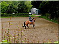 Exercising a horse, Crosh