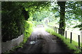 Byway below Cefn-Crib Road, Pantygasseg