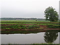 Looking across the Ouse from Beningbrough Park