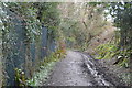 Muddy path to West Wood