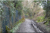 SX5061 : Muddy path to West Wood by N Chadwick