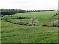 NZ0184 : River Wansbeck near Topley Wood by Andrew Curtis