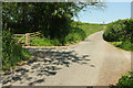 Lane on Dunsbear Moor