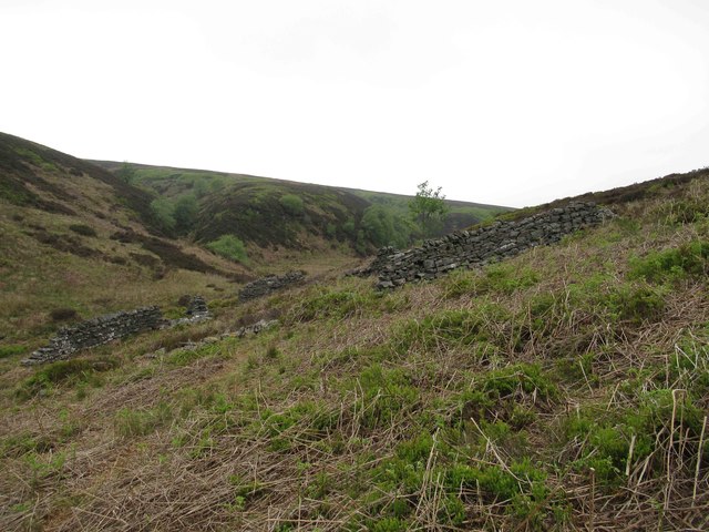 Sheepfold (ruined) above the Great Eggleshope Beck