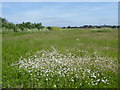 Field north of Bath Road