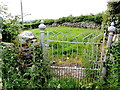 Small gate between stone walls, Magheracoltan