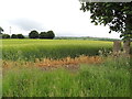 Milltown Townland