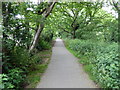 Cuckoo Trail near Polegate