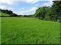 Farmland beside Pontyperchill 