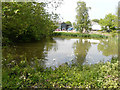 Pond, Walmestone Court Farm, Walmestone Road